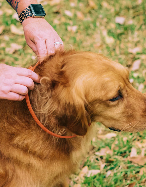 Load image into Gallery viewer, Flea &amp; Tick Collar for Dogs + Cats with Natural Essential Oils
